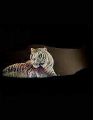 Tiger of Color Slate 17 H X 40 W